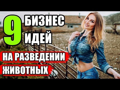 , title : 'ТОП-9 Бизнес идей на разведении животных. Разведение как бизнес. Бизнес план разведение'