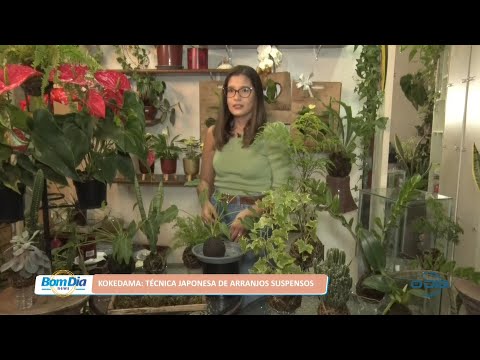 Kokedama: Técnica japonesa de arranjos suspensos 25 03 2022