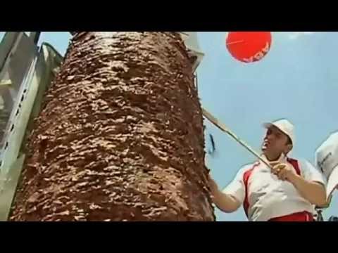 مطعم علي كيفك ‎ Video