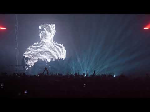 Stingray Festival 4K January 2020 Featured Concert