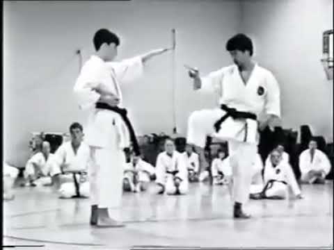 Wskf chief instructor Sensei Hitoshi Kasuya