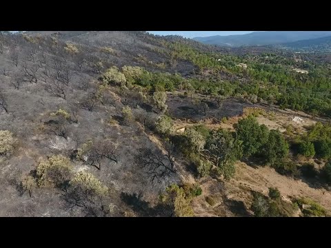 Incendies en Corse: la piste pyromane privilégiée, selon les élus
