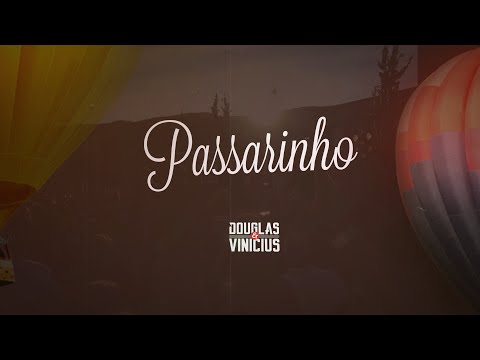 Passarinho video