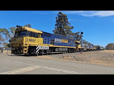 3XM4 PN intermodal (NR97, NR13, NR26), Spencer Jnc to Melbourne, 1235, 20/11/24, Great Western VIC