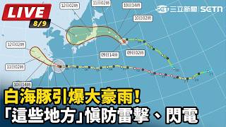 白海豚引爆大豪雨！「這些地方」慎防雷擊