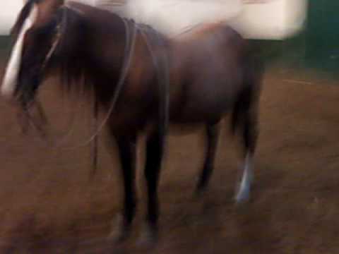 poco otee zan poco bueno