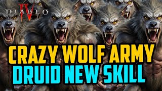 You will LOVE Druid New Wolf Pack Army - Diablo 4