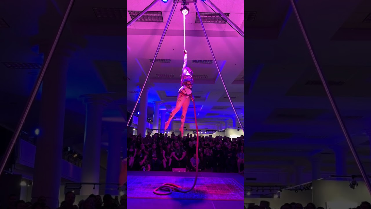 Promotional video thumbnail 3 for Aerial Entertainer