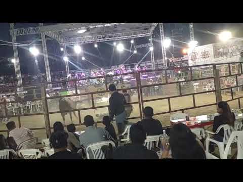 muerte de braza de Huitzuco