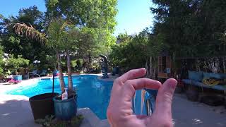 Planning and Planting Summer Landscape & Containers