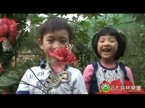 森林王-蝴蝶記！！
