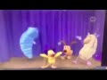 Dance
