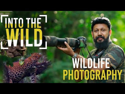INTO THE WILD | THIS IS WHY I DO WILDLIFE PHOTOGRAPHY -- SHAJI MATHILAKAM