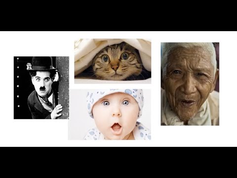 Dr.Boris Cyrulnik  - Le récit de soi