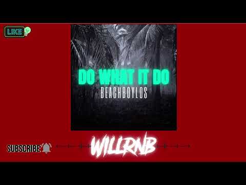 Beachboylos - Do What It Do (RnBass Music)