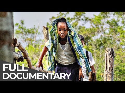 Most Dangerous Ways To School | COLOMBIA | Free Documentary