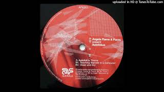 Angela Flame And Pacou - Teaching Warmth To A Computer