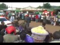 5 Carnivore Majoge B Kings