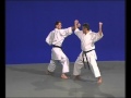 7 Bunkaï Jitte II