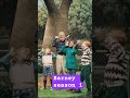 Barneyandfriends Barney