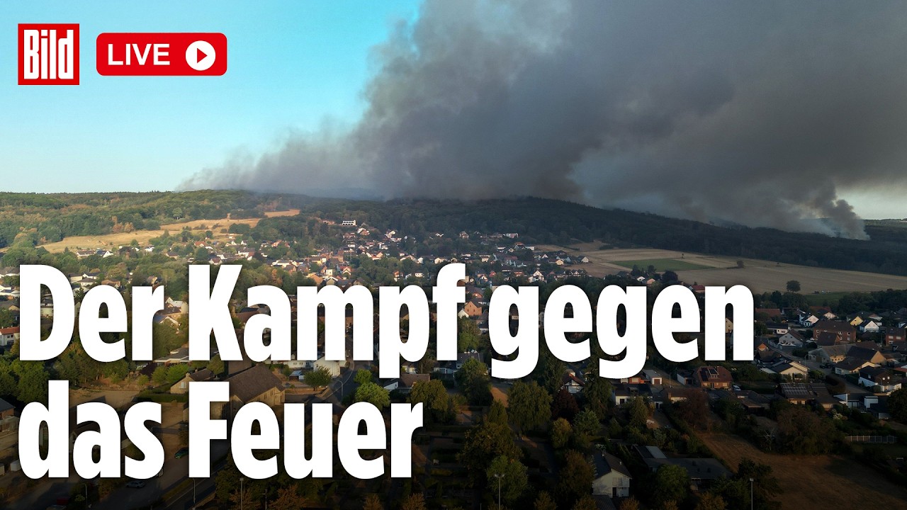 🔴 Feuerwalze in Hürtgenwald, NRW: Riesen-Rauchwolke verschlingt die Sonne | BILD LIVE