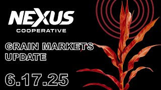 Nexus Grain Update - June 17, 2025
