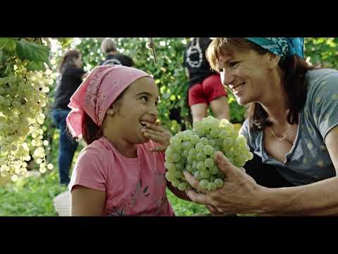 Val D'Oca | Cantina Produttori Valdobbiadene