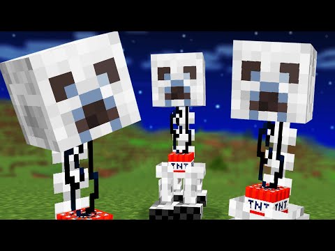 We Combined Minecraft Mobs with Skeletons