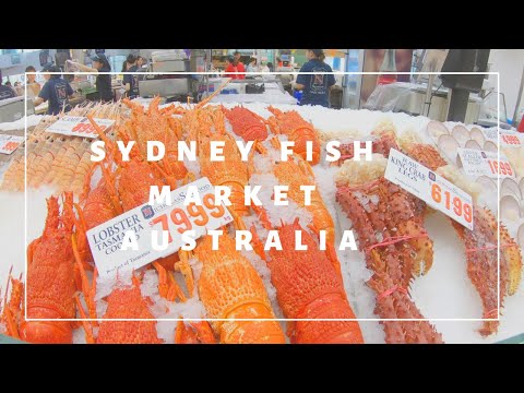 Tour Sydney Fish Market | Australia 🦘 Video