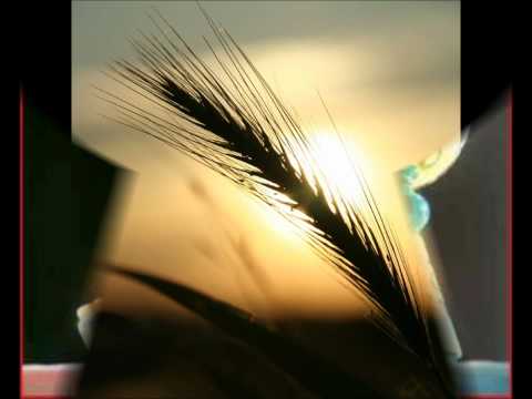 Voglio adorare te... RnS 2012