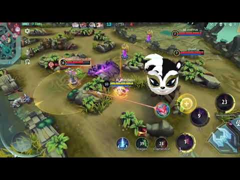 Drone view is very good, suitable for Vale users