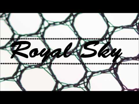 Bingo Arms- Royal Sky Entertainment