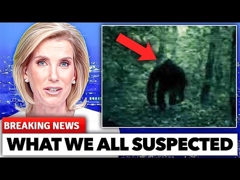 1 MINUTE AGO: Discovery’s Secret About Mountain Monsters EXPOSED — What They Found Was Terrifying...