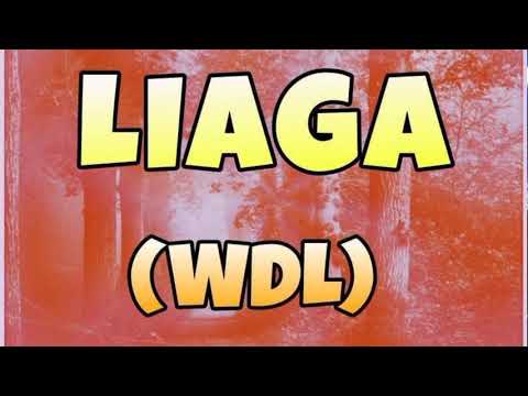 Martin Garrix vs Miley Cyrus ft Dua Lipa vs Afrojack - Animals (Dj Molino Mashup)