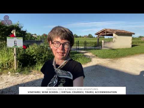 Introduction to Château Feely