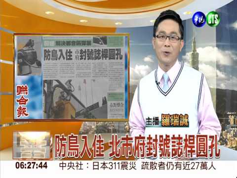 防鳥入住 北市府封號誌桿圓孔