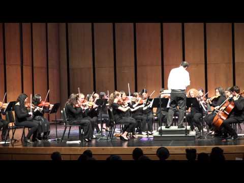 NCP orchestra - Ode To The Plains