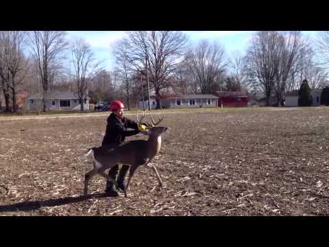 man vs 11 point buck