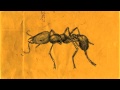 Sibu & Joe Nagall feat. Arthur Teller - Ant Queen ...
