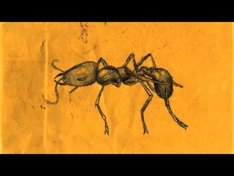 Sibu & Joe Nagall feat. Arthur Teller - Ant Queen
