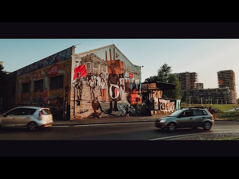 Come una Foresta in Città