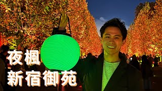 [遊記] NAKED 夜楓 新宿御苑 2023