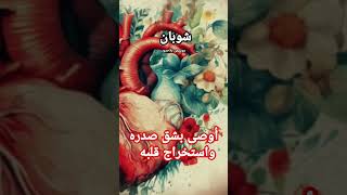 غرائب الموسيقيين
