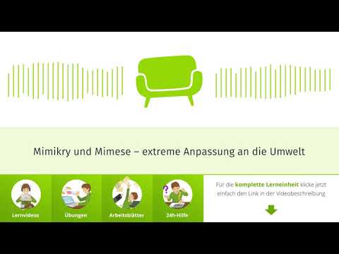 Mimikry und Mimese: extreme Anpassung an die Umwelt