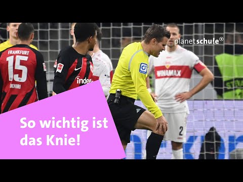 Osteochondrose der Halswirbelsäule in Remission Osteochondrose der Halswirbelsäule mit Volksmedizin