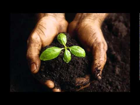 la tierra - liza garza (universo mixtape)