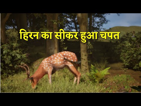 Deer Hunting - Epic Forest Adventure | Realistic 3D Animation Short