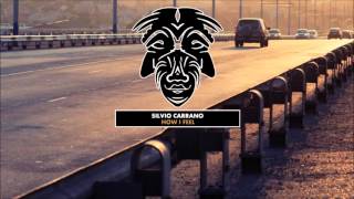 Silvio Carrano - How I Feel [Zulu Records]