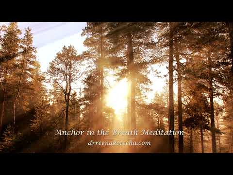 Guided meditation