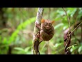 ERDB INSTITUTIONAL VIDEO
